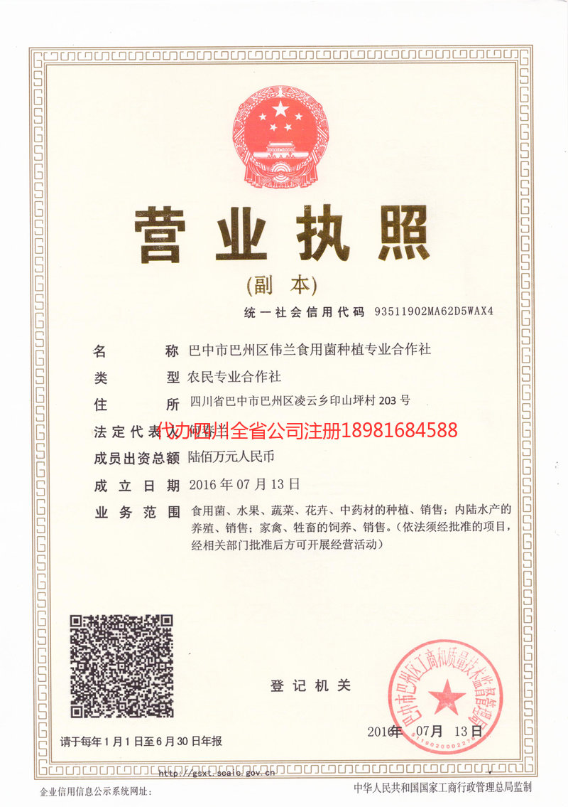 永州永州伟兰食用菌种植专业合作社